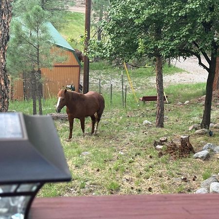 Gonzales Cozy Little Bear Cabin Руидозо Экстерьер фото